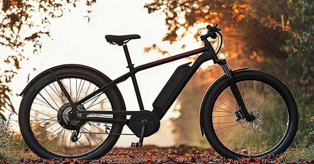 Are Electric Bikes Worth It
